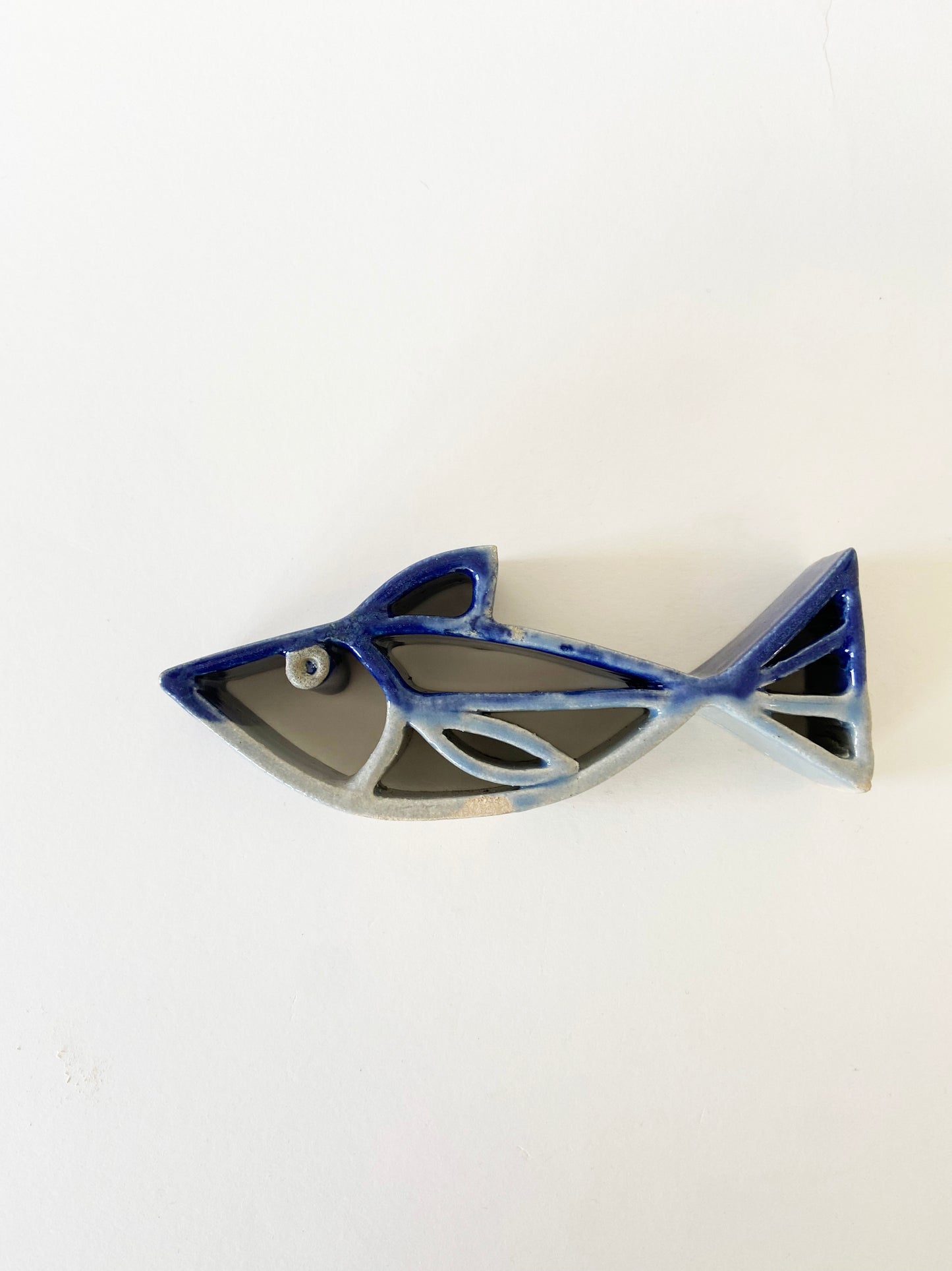 Small blue fish