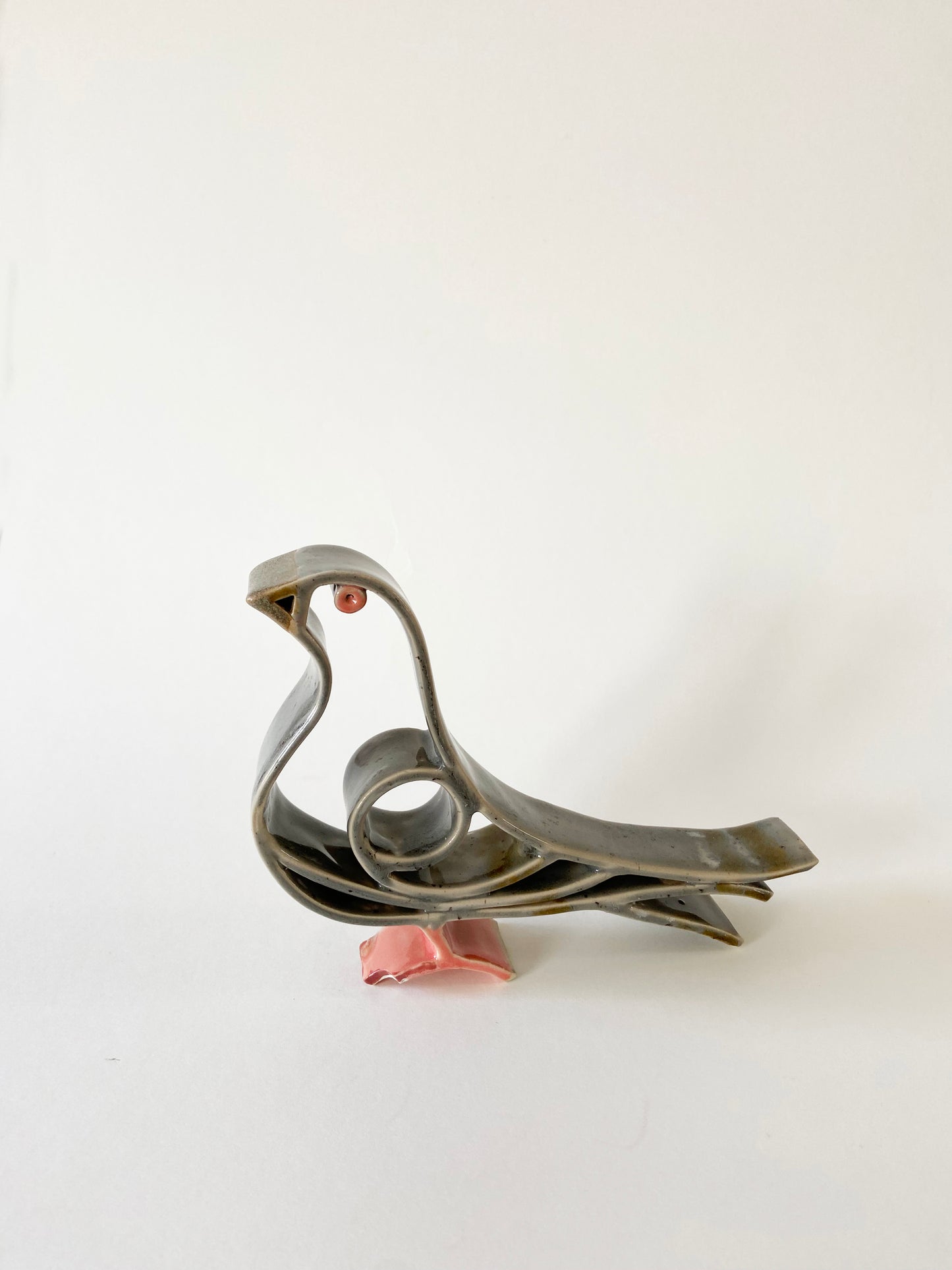 Mr. Pigeon bird