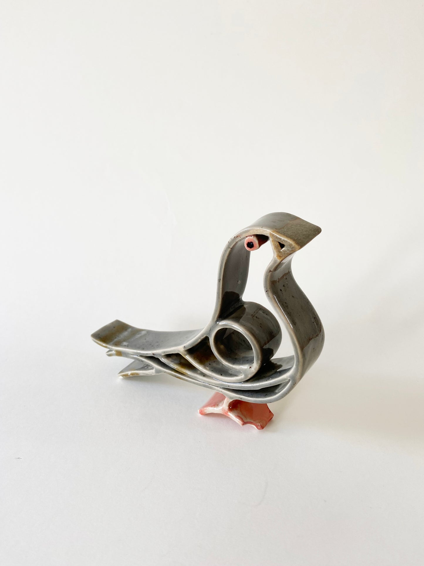 Mr. Pigeon bird