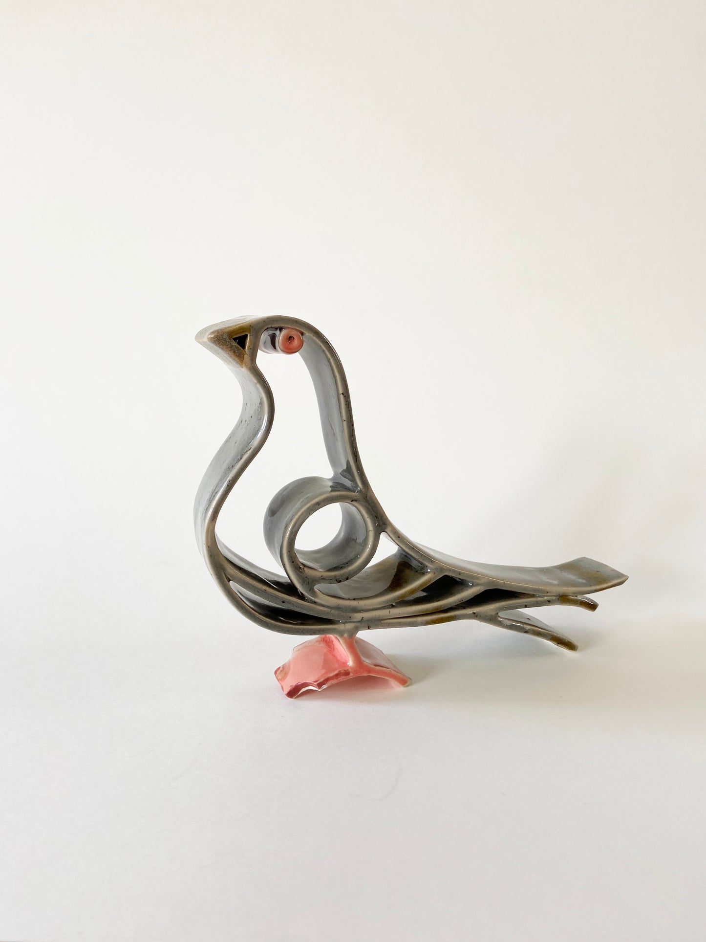 Mr. Pigeon bird