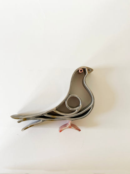 Mr. Pigeon bird